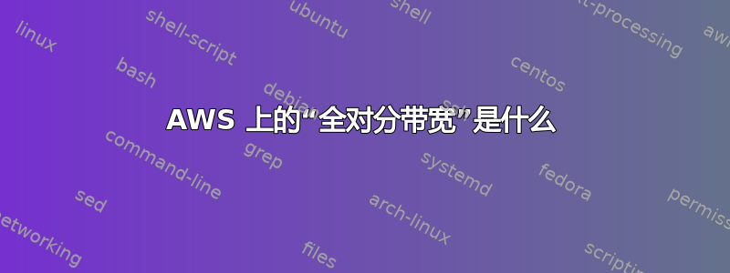 AWS 上的“全对分带宽”是什么