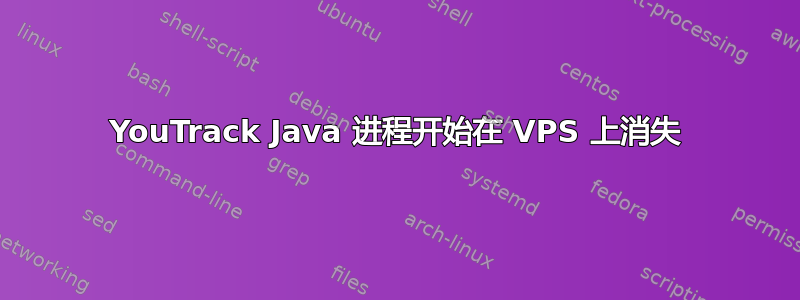 YouTrack Java 进程开始在 VPS 上消失