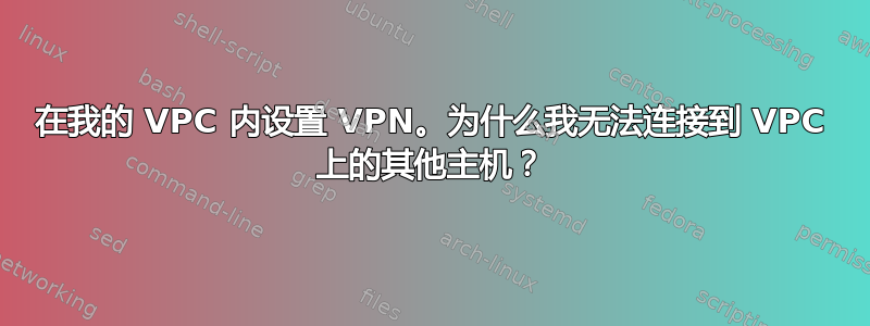 在我的 VPC 内设置 VPN。为什么我无法连接到 VPC 上的其他主机？