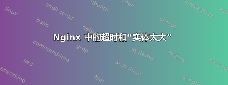 Nginx 中的超时和“实体太大”