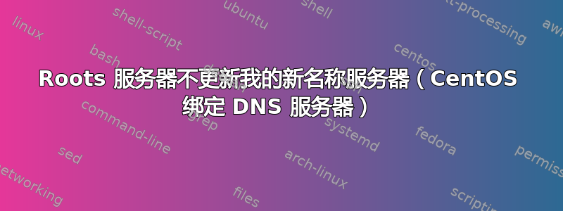 Roots 服务器不更新我的新名称服务器（CentOS 绑定 DNS 服务器）