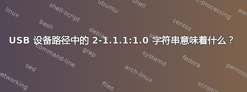 USB 设备路径中的 2-1.1.1:1.0 字符串意味着什么？