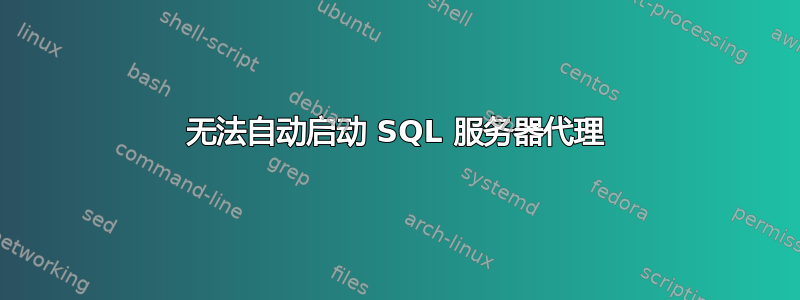 无法自动启动 SQL 服务器代理