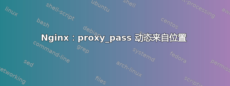 Nginx：proxy_pass 动态来自位置