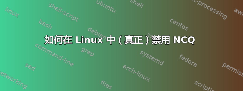 如何在 Linux 中（真正）禁用 NCQ