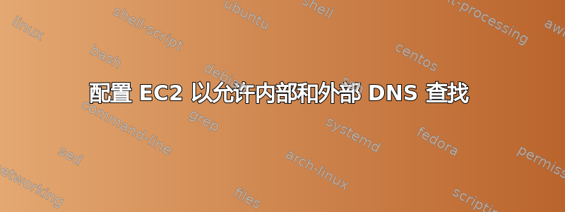 配置 EC2 以允许内部和外部 DNS 查找