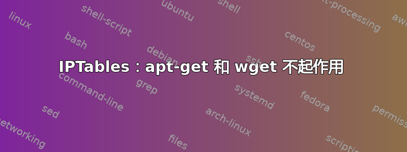 IPTables：apt-get 和 wget 不起作用