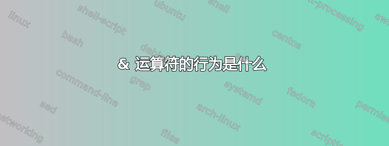 & 运算符的行为是什么