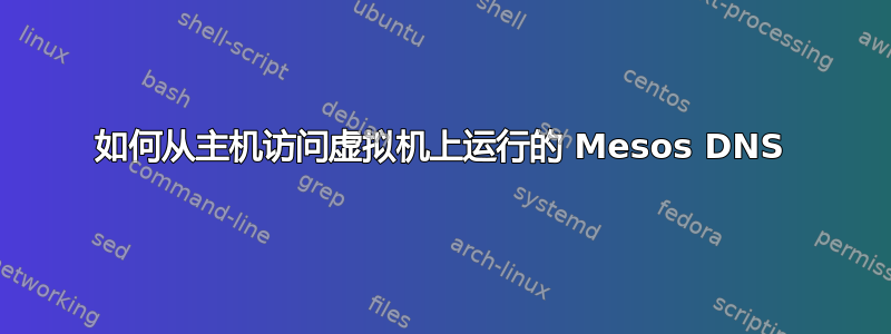 如何从主机访问虚拟机上运行的 Mesos DNS