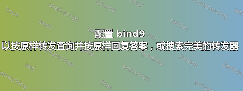 配置 bind9 以按原样转发查询并按原样回复答案，或搜索完美的转发器