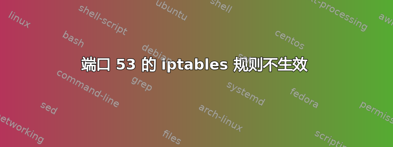 端口 53 的 iptables 规则不生效