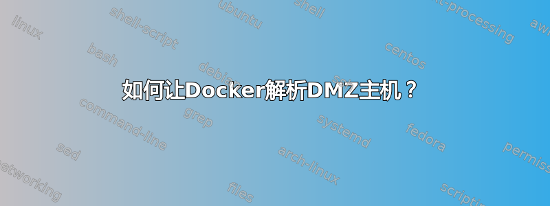 如何让Docker解析DMZ主机？