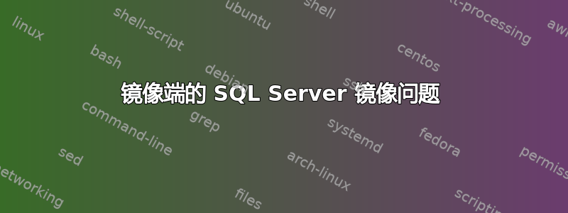 镜像端的 SQL Server 镜像问题