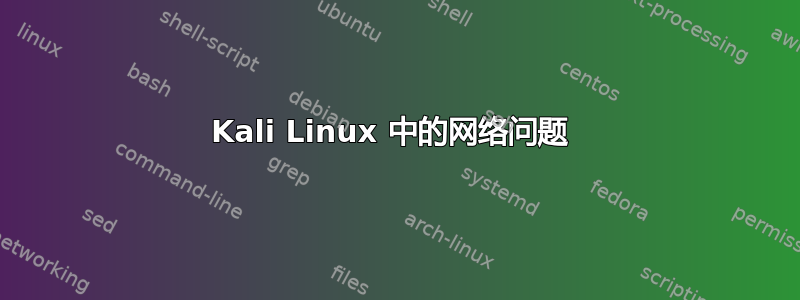 Kali Linux 中的网络问题 