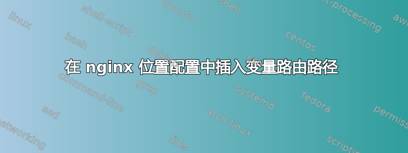 在 nginx 位置配置中插入变量路由路径