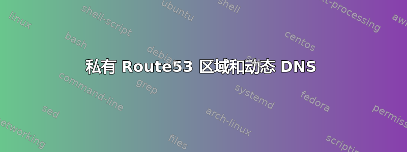 私有 Route53 区域和动态 DNS