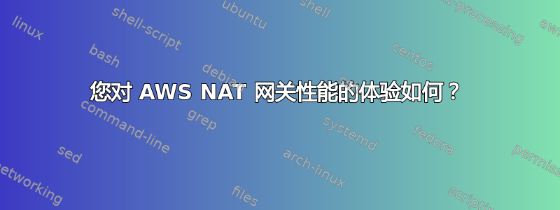 您对 AWS NAT 网关性能的体验如何？