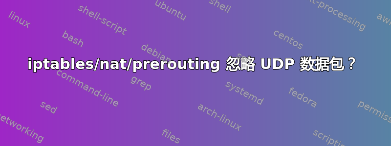 iptables/nat/prerouting 忽略 UDP 数据包？