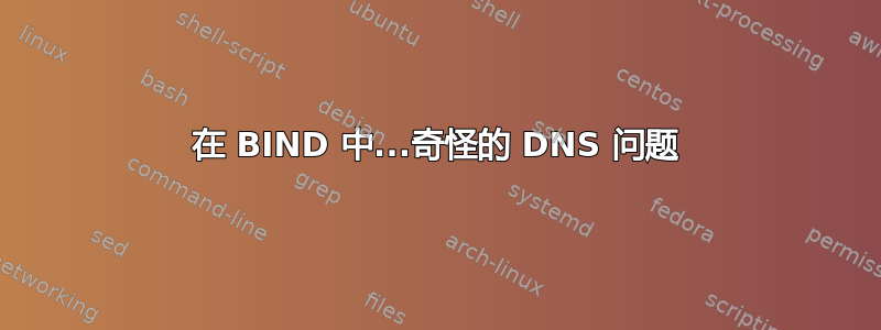 在 BIND 中...奇怪的 DNS 问题