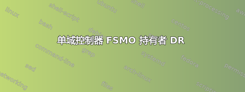 单域控制器 FSMO 持有者 DR