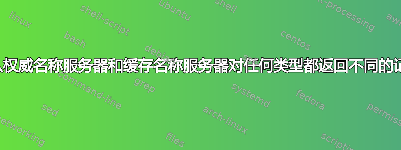 为什么权威名称服务器和缓存名称服务器对任何类型都返回不同的记录？