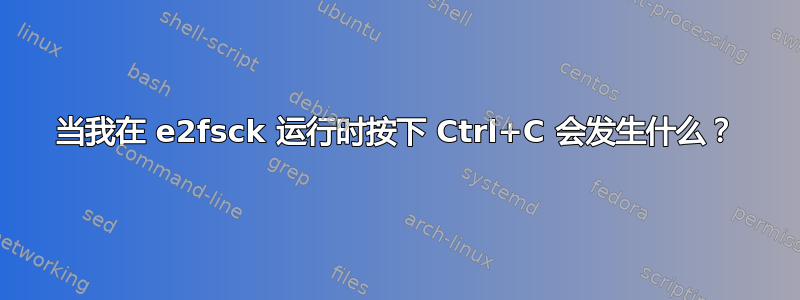 当我在 e2fsck 运行时按下 Ctrl+C 会发生什么？