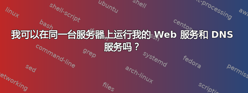 我可以在同一台服务器上运行我的 Web 服务和 DNS 服务吗？