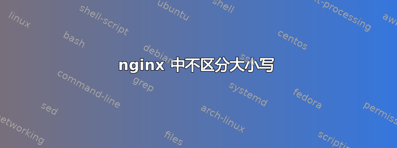 nginx 中不区分大小写