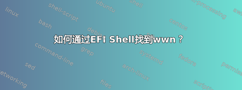 如何通过EFI Shell找到wwn？