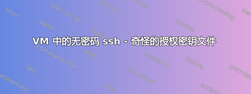 VM 中的无密码 ssh - 奇怪的授权密钥文件