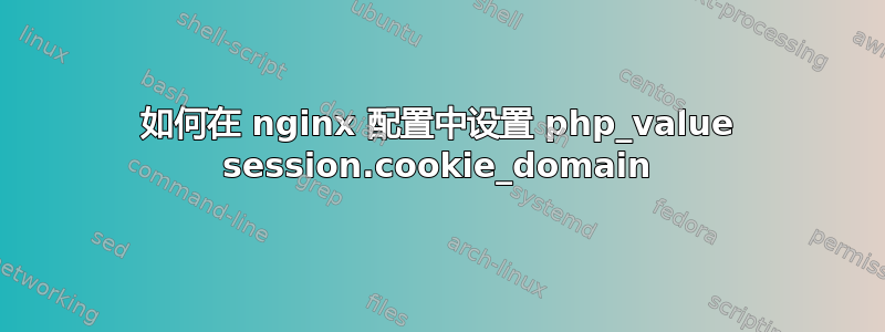 如何在 nginx 配置中设置 php_value session.cookie_domain