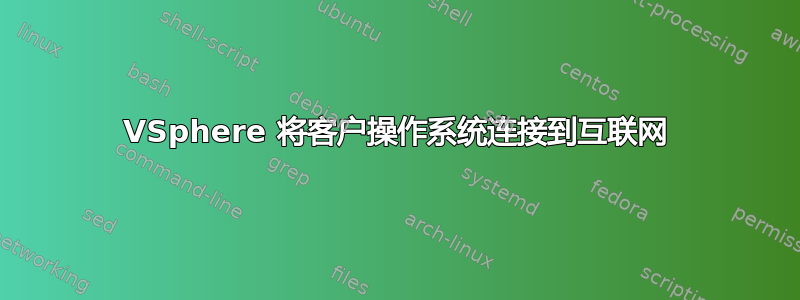 VSphere 将客户操作系统连接到互联网