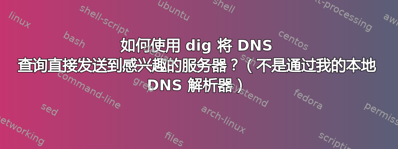 如何使用 dig 将 DNS 查询直接发送到感兴趣的服务器？（不是通过我的本地 DNS 解析器）