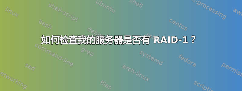 如何检查我的服务器是否有 RAID-1？