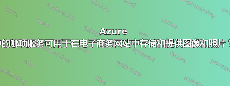 Azure 中的哪项服务可用于在电子商务网站中存储和提供图像和照片？