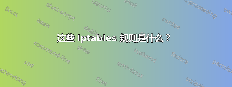 这些 iptables 规则是什么？