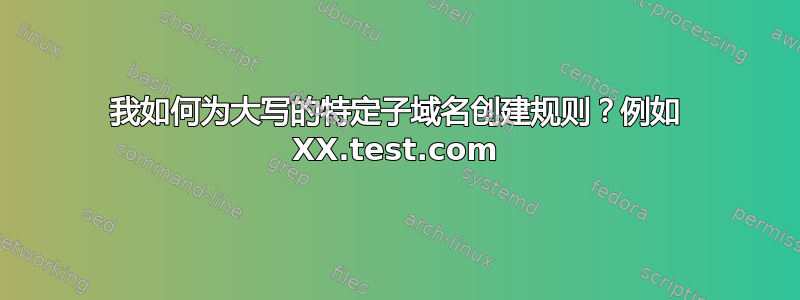 我如何为大写的特定子域名创建规则？例如 XX.test.com