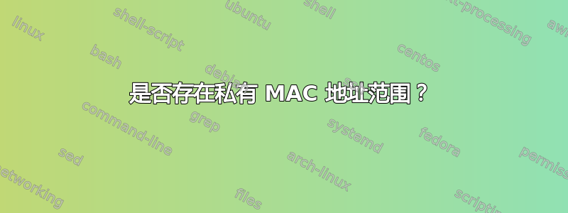 是否存在私有 MAC 地址范围？