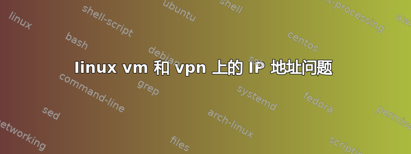 Iinux vm 和 vpn 上的 IP 地址问题