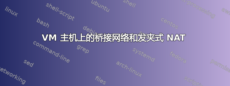 VM 主机上的桥接网络和发夹式 NAT