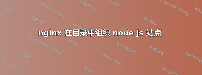 nginx 在目录中组织 node js 站点