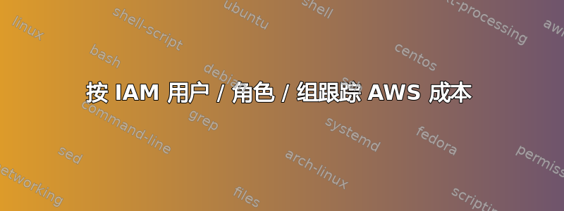 按 IAM 用户 / 角色 / 组跟踪 AWS 成本