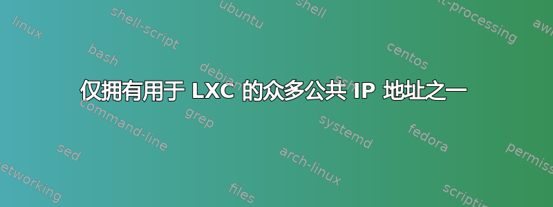 仅拥有用于 LXC 的众多公共 IP 地址之一