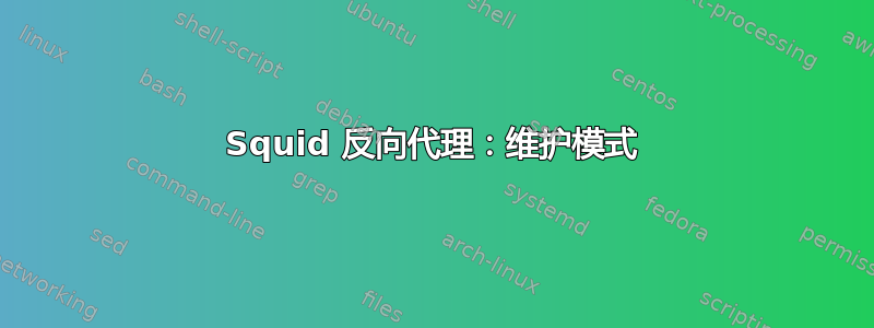 Squid 反向代理：维护模式