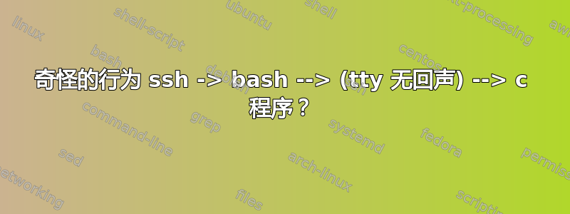 奇怪的行为 ssh -> bash --> (tty 无回声) --> c 程序？