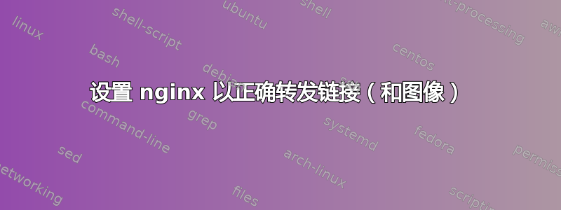 设置 nginx 以正确转发链接（和图像）