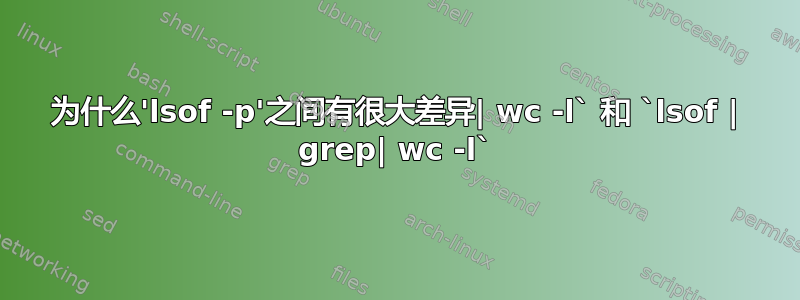 为什么'lsof -p'之间有很大差异| wc -l` 和 `lsof | grep| wc -l`