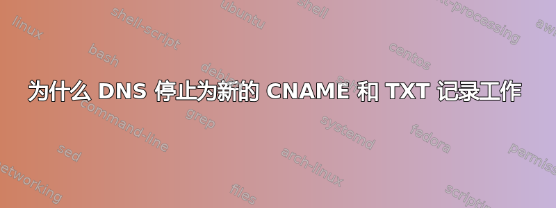 为什么 DNS 停止为新的 CNAME 和 TXT 记录工作