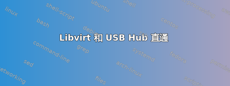 Libvirt 和 USB Hub 直通