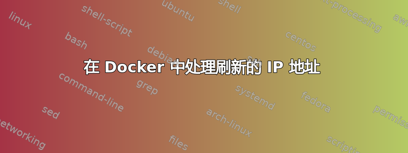 在 Docker 中处理刷新的 IP 地址